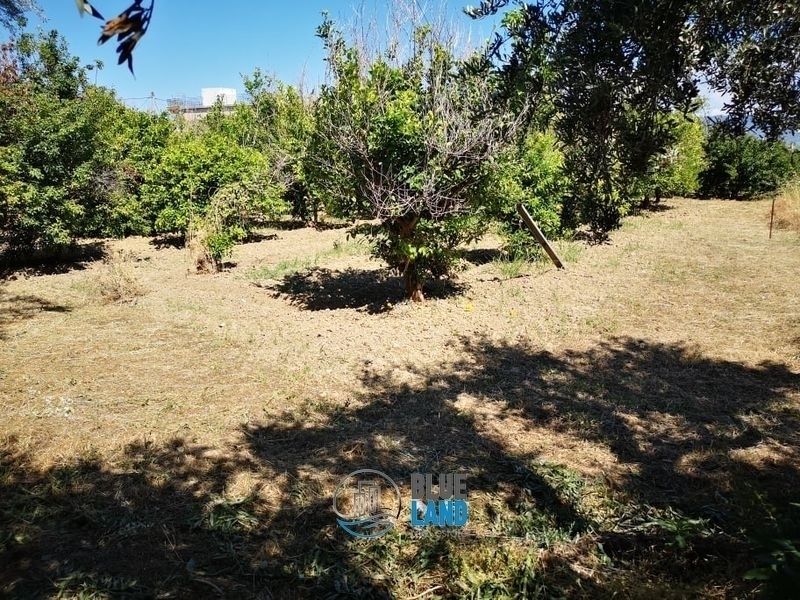 (For Sale) Land Plot || Achaia/Patra - 353 Sq.m, 85.000€ 