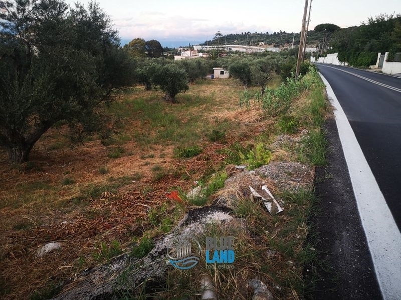 (For Sale) Land Plot || Achaia/Rio - 1.800 Sq.m, 190.000€ 