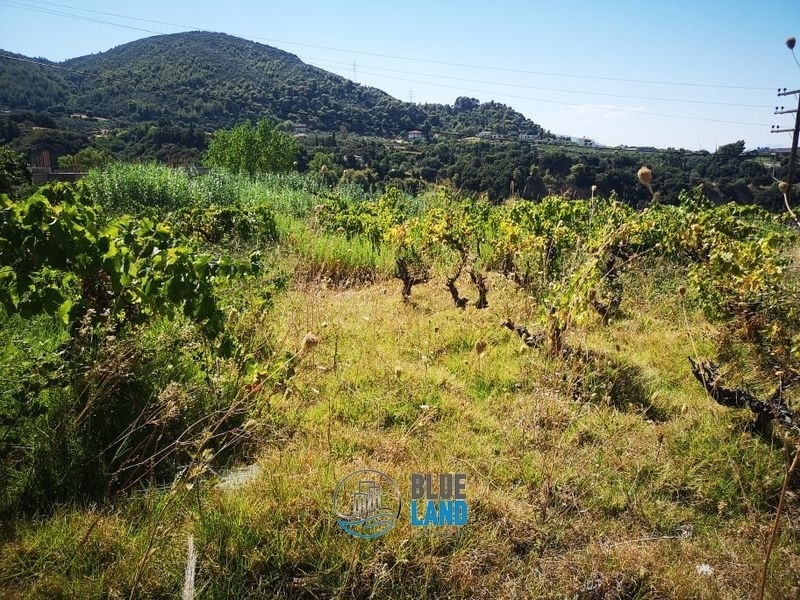 (For Sale) Land Plot || Achaia/Patra - 800 Sq.m, 35.000€ 