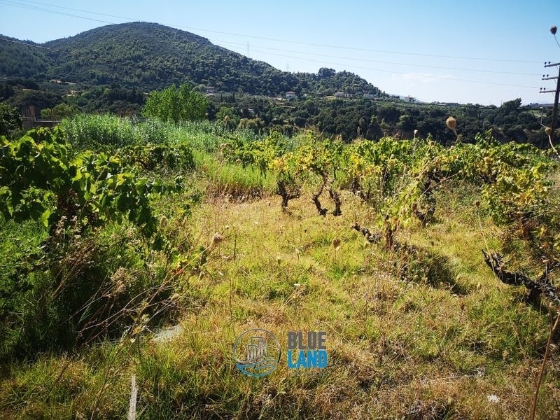 (Προς Πώληση) Αξιοποιήσιμη Γη Οικόπεδο || Ν. Αχαϊας/Πάτρα - 800 τ.μ, 35.000€ 