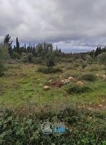 (For Sale) Land Agricultural Land  || Lefkada/Lefkada Chora - 280 Sq.m, 100.000€ 