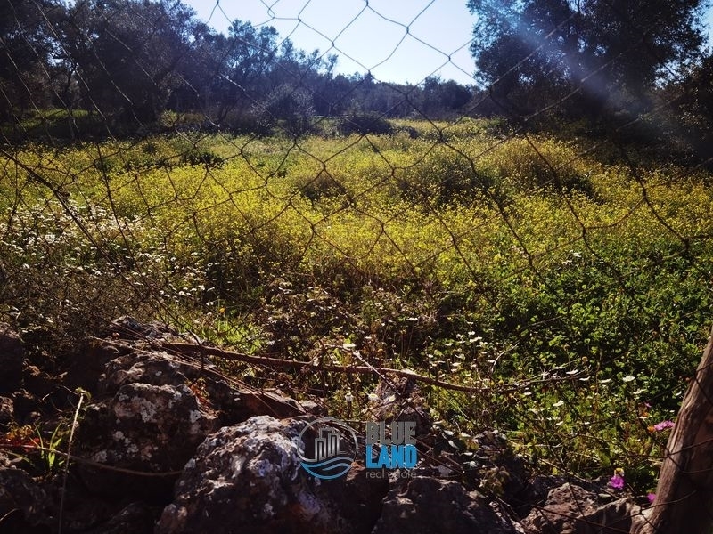 (For Sale) Land Plot || Lefkada/ Tsoukalades - 505 Sq.m, 70.000€ 