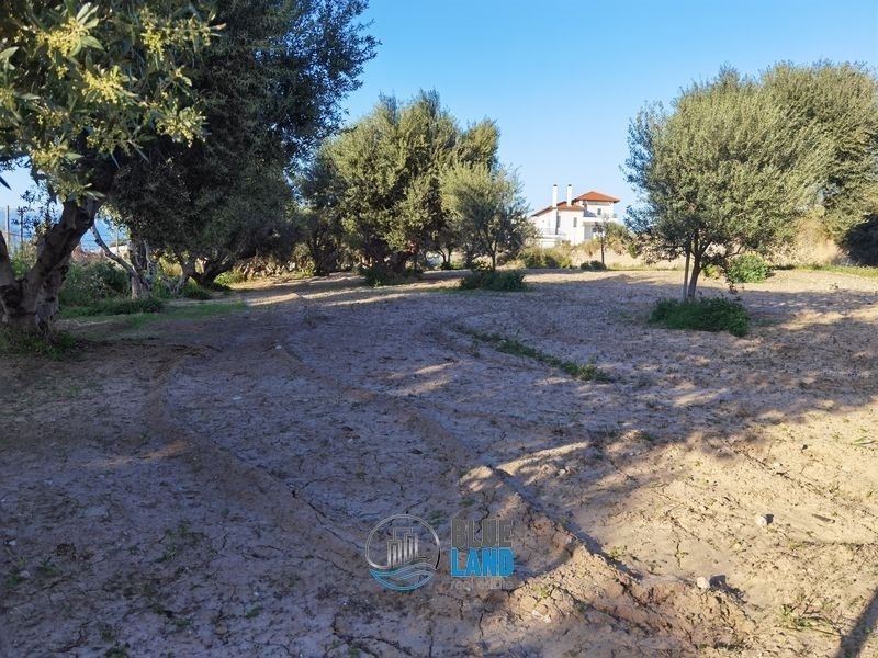 (Προς Πώληση) Αξιοποιήσιμη Γη Οικόπεδο || Ν. Αχαϊας /Άγιο Βασίλειο - 5.000 τ.μ, 400.000€ 