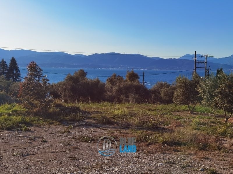 (Προς Πώληση) Αξιοποιήσιμη Γη || Ν. Αχαϊας/Ρίο - 2.300 τ.μ, 250.000€ 