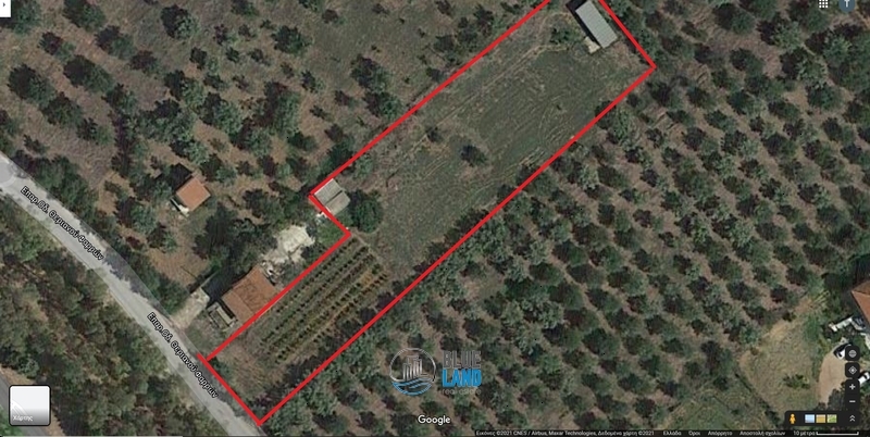 (For Sale) Land Industrial Plot || Achaia/Vrachnaiika - 4.000 Sq.m, 55.000€ 