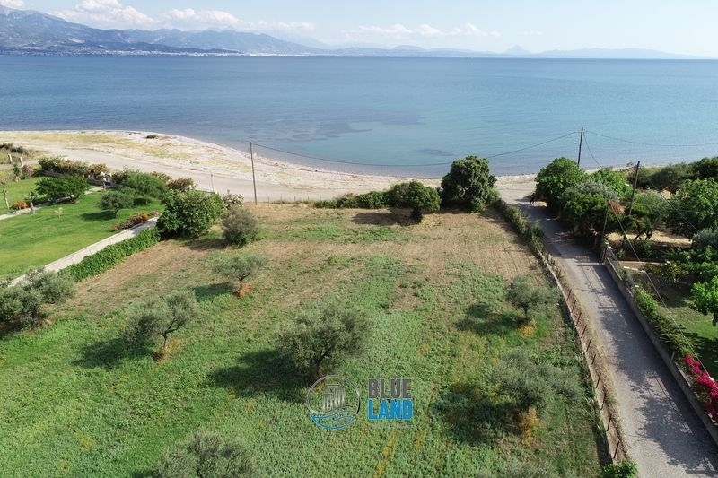 (For Sale) Land Plot || Aitoloakarnania/Nafpaktos - 3.500 Sq.m, 200.000€ 