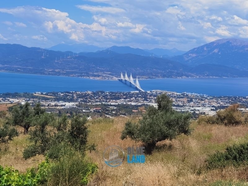 (Προς Πώληση) Αξιοποιήσιμη Γη Αγροτεμάχιο || Ν. Αχαϊας/Πάτρα - 5.000 τ.μ, 225.000€ 