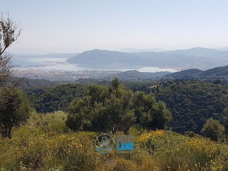 (For Sale) Land Agricultural Land  || Lefkada/Sfakiotes - 7.000 Sq.m, 180.000€ 