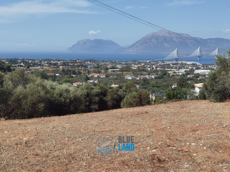 (For Sale) Land Agricultural Land  || Achaia/Rio/Kato Kastritsi - 4.000 Sq.m, 200.000€ 