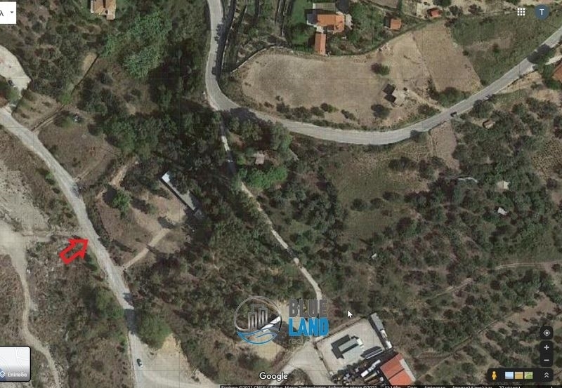 (For Sale) Land Agricultural Land  || Achaia/Rio/Kato Kastritsi - 5.500 Sq.m, 140.000€ 