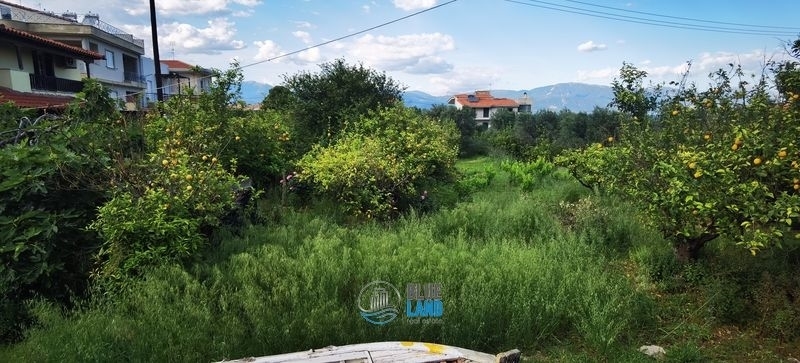 (For Sale) Land Plot wIthin Settlement || Achaia/Rio - 1.370 Sq.m, 120.000€ 