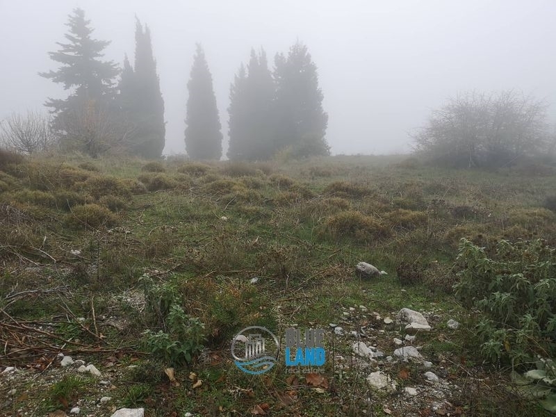 (For Sale) Land Agricultural Land  || Achaia/Rio - 30.000 Sq.m, 65.000€ 