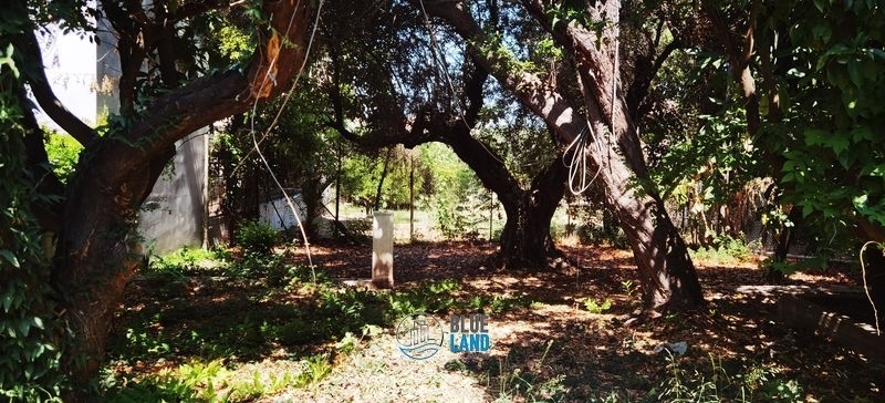 (For Sale) Land Plot for development || Achaia/Patra - 516 Sq.m, 160.000€ 