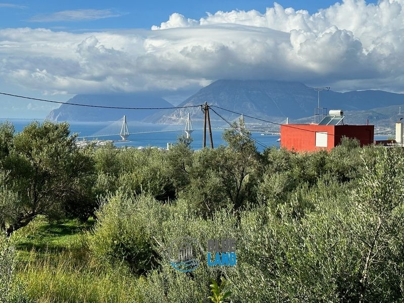 (Προς Πώληση) Αξιοποιήσιμη Γη Οικόπεδο εντός οικισμού || Ν. Αχαϊας/Ρίο - 1.300 τ.μ, 110.000€ 