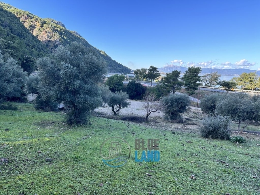 (For Sale) Land || Achaia/Erineos - 4.200 Sq.m, 70.000€ 