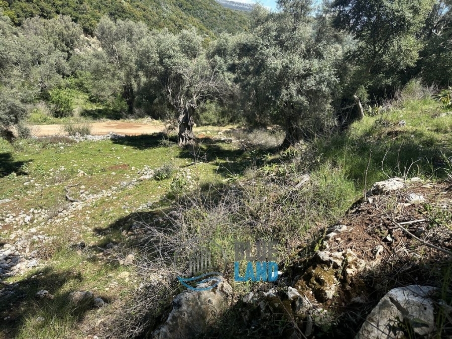 (For Sale) Land Plot || Lefkada/Apollonio - 6.656 Sq.m, 120.000€ 