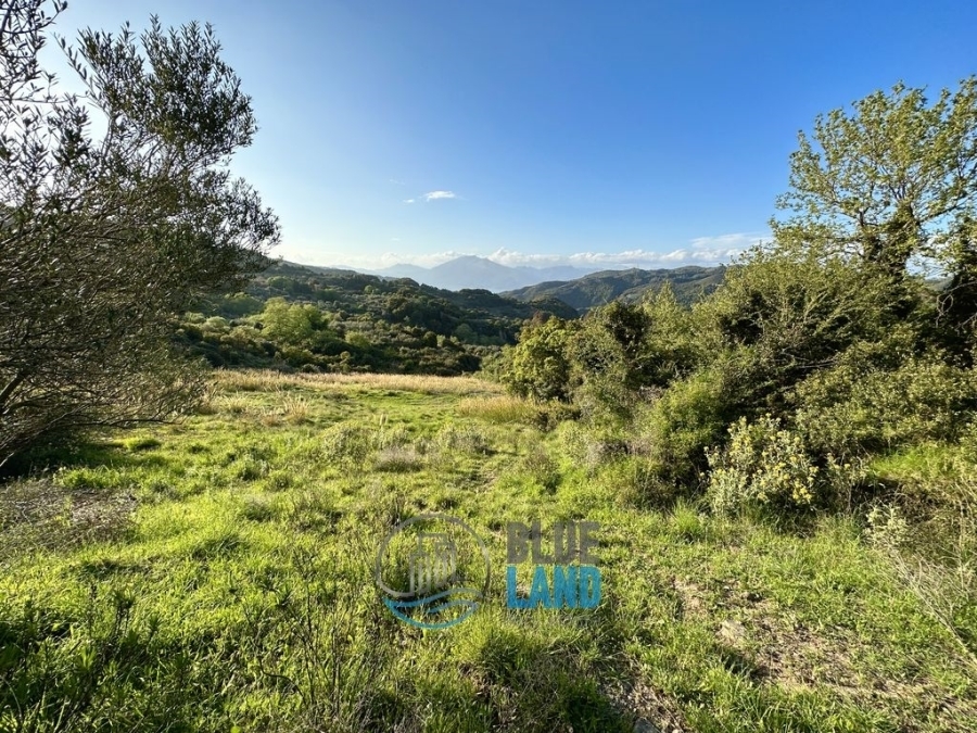 (For Sale) Land Agricultural Land  || Achaia/Rio - 11.000 Sq.m, 35.000€ 