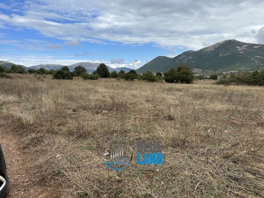 (For Sale) Land Agricultural Land  || Achaia/Kalavryta - 12.000 Sq.m, 10.000€ 