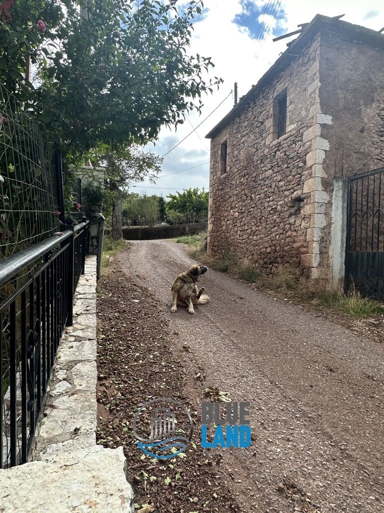 (Προς Πώληση) Κατοικία Μονοκατοικία || Ν. Αχαϊας/Καλάβρυτα - 135 τ.μ, 3 Υ/Δ, 94.000€ 