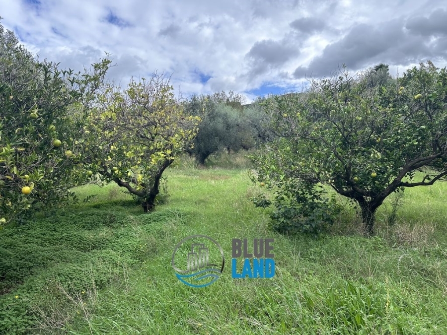 (For Sale) Land Plot || Achaia/Rio - 966 Sq.m, 120.000€ 