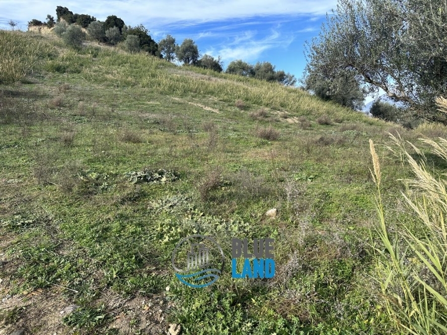 (For Rent) Land Agricultural Land  || Achaia/Patra - 5.000 Sq.m, 1.500€ 