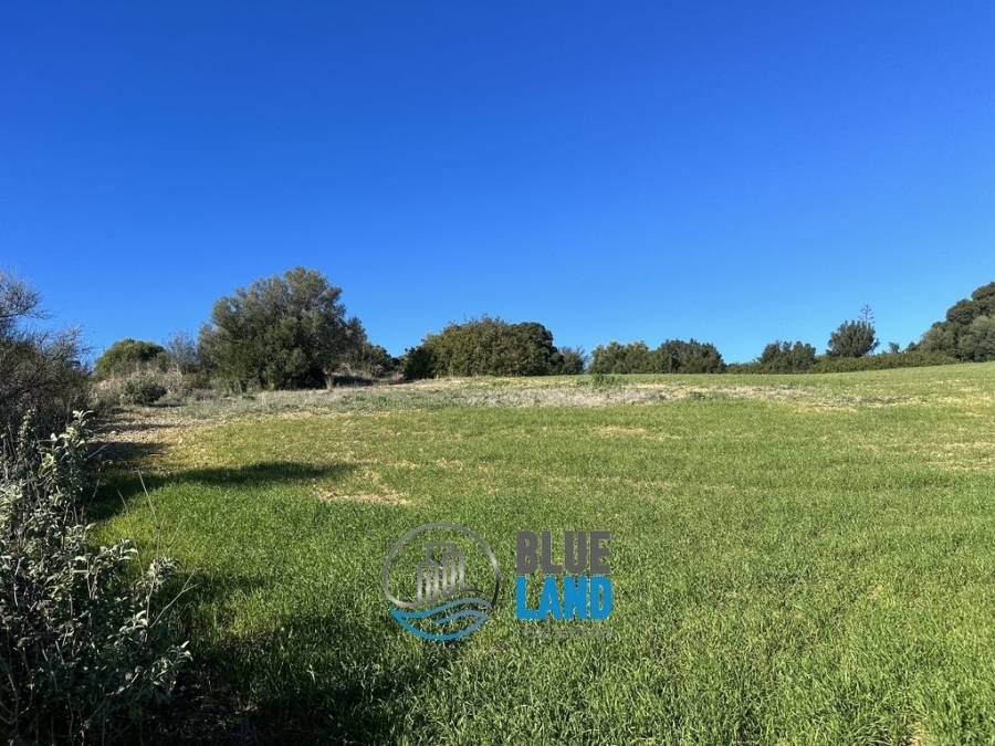 (For Sale) Land Agricultural Land  || Achaia/Olenia - 100.000 Sq.m, 500.000€ 