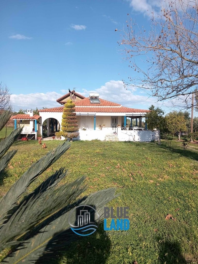 (For Sale) Residential Detached house || Achaia/Larissos - 80 Sq.m, 2 Bedrooms, 220.000€ 