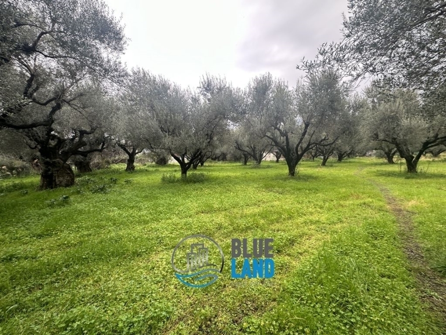 (For Sale) Land Plot || Aitoloakarnania/Antirrio - 850 Sq.m, 65.000€ 