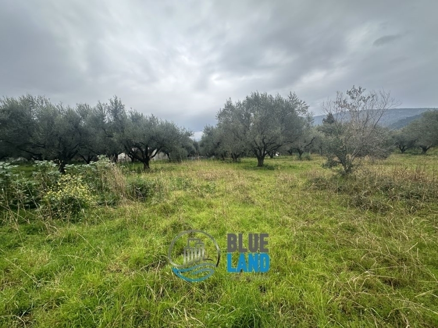 (For Sale) Land Plot || Aitoloakarnania/Antirrio - 850 Sq.m, 55.000€ 