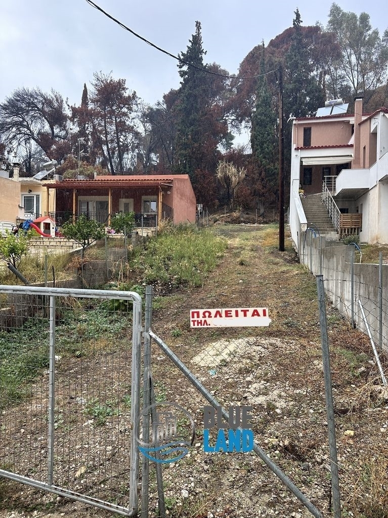 (For Sale) Land Plot || Achaia/Patra - 281 Sq.m, 60.000€ 