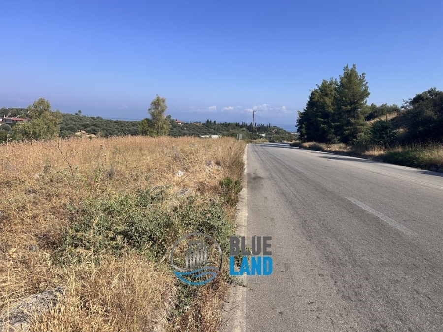 (For Sale) Commercial Plot || Achaia/Messatida - 11.000 Sq.m, 160.000€ 