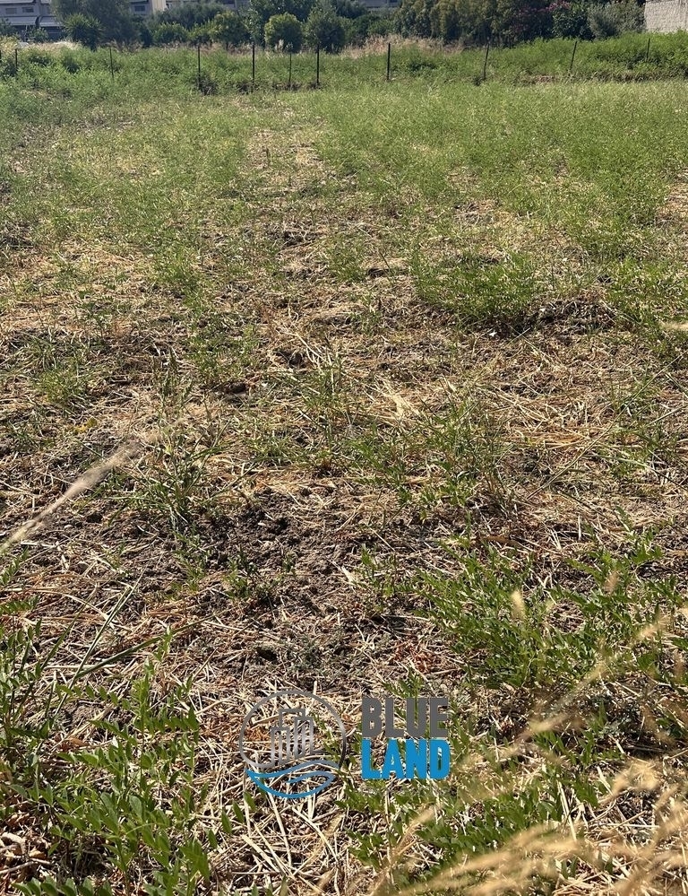 (For Sale) Land Plot || Achaia/Patra - 500 Sq.m, 160.000€ 