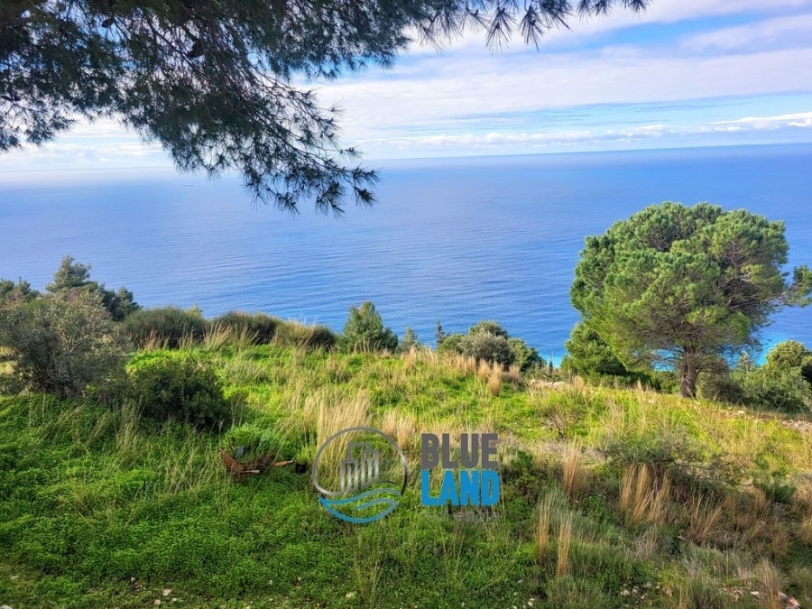 (Προς Πώληση) Αξιοποιήσιμη Γη Αγροτεμάχιο || Ν. Λευκάδας/Απολλώνιο - 8.200 τ.μ, 350.000€ 