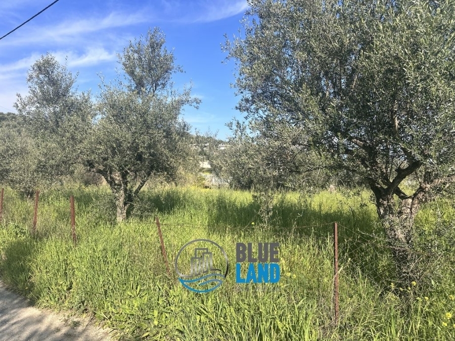 (For Sale) Land Plot || Achaia/Paralia - 650 Sq.m, 75.000€ 