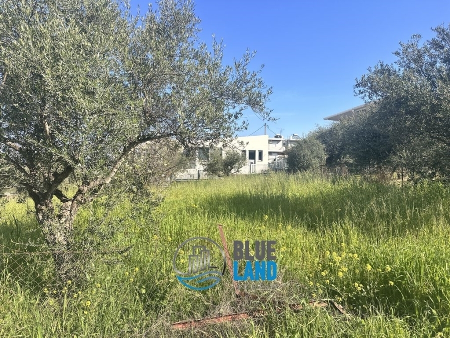 (For Sale) Land Plot || Achaia/Paralia - 530 Sq.m, 55.000€ 