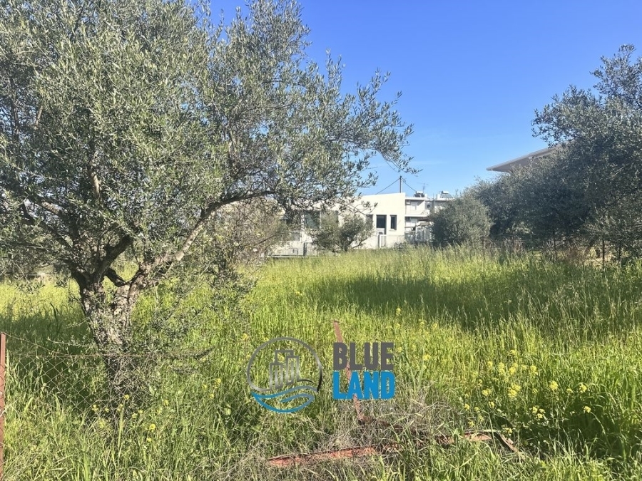 (Προς Πώληση) Αξιοποιήσιμη Γη Οικόπεδο || Ν. Αχαϊας/Παραλία - 1.182 τ.μ, 100.000€ 