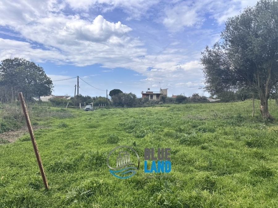 (Προς Πώληση) Αξιοποιήσιμη Γη Αγροτεμάχιο || Ν. Αχαϊας/Πάτρα - 4.500 τ.μ, 170.000€ 