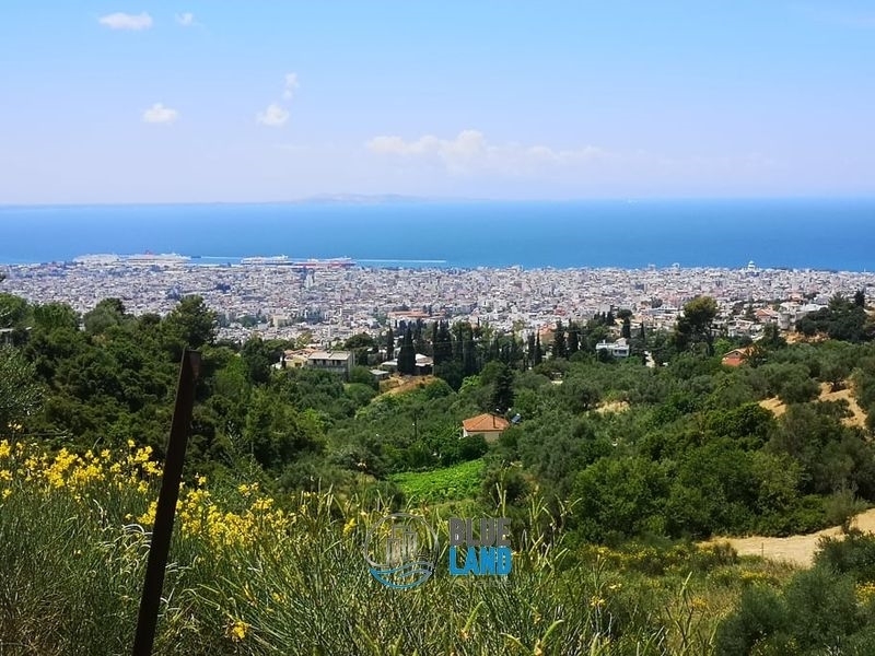 (Προς Πώληση) Αξιοποιήσιμη Γη Οικόπεδο || Ν. Αχαϊας/Πάτρα - 4.435 τ.μ, 100.000€ 